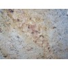 Astoria Granite Slab