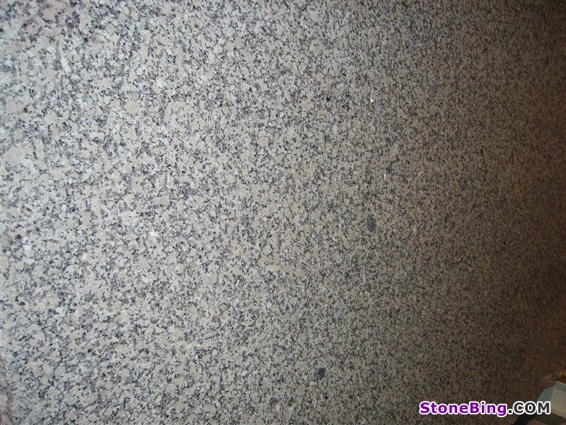 Crema Julia Granite Slab