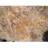 Golden Beach Granite Slab