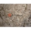 Bianco Antico Granite Slab