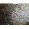 Forrest Green Marble Slab