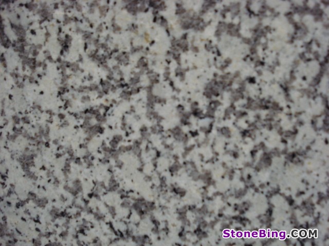 Bianco Sardo Granite Tile