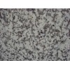 Bianco Sardo Granite Tile