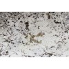 Alaska White Granite Tile