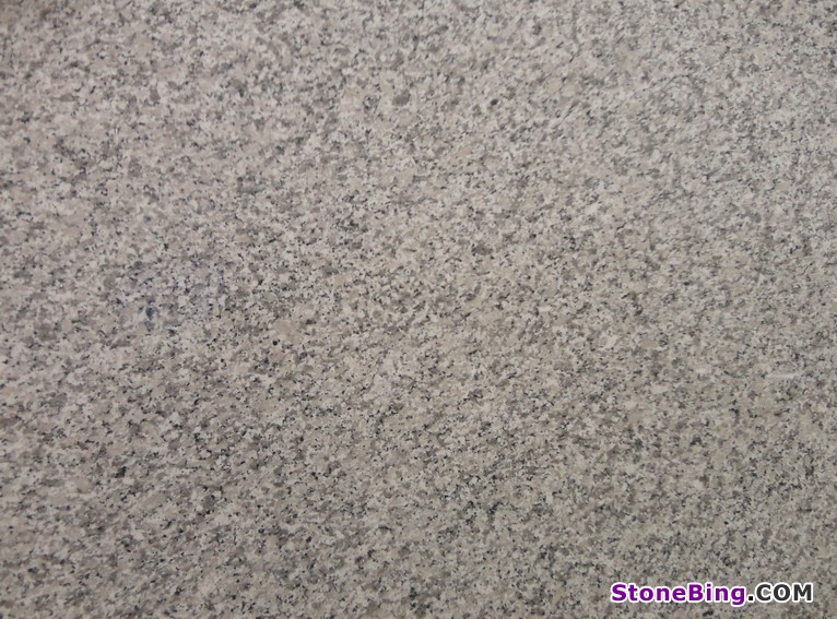 Bianco Sardo Granite Slab