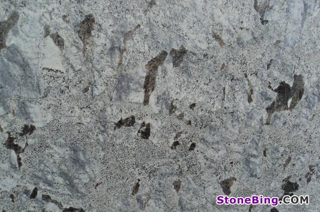Bianco Araus Granite Slab