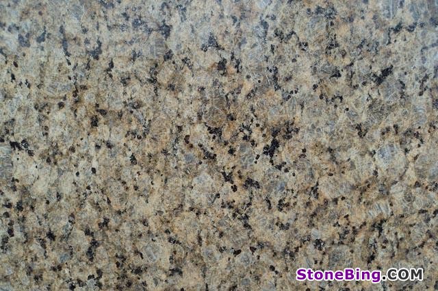 Yellow Butterfly Granite Slab