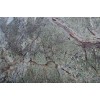 Rainforest Green Marble Slab