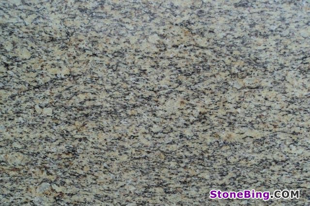 Santa Cecilia Granite Slab