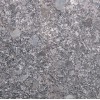 Silver Pearl Granite Tile