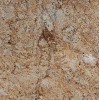 Solarius Granite Tile