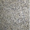 Butterfly Beige Granite Tile