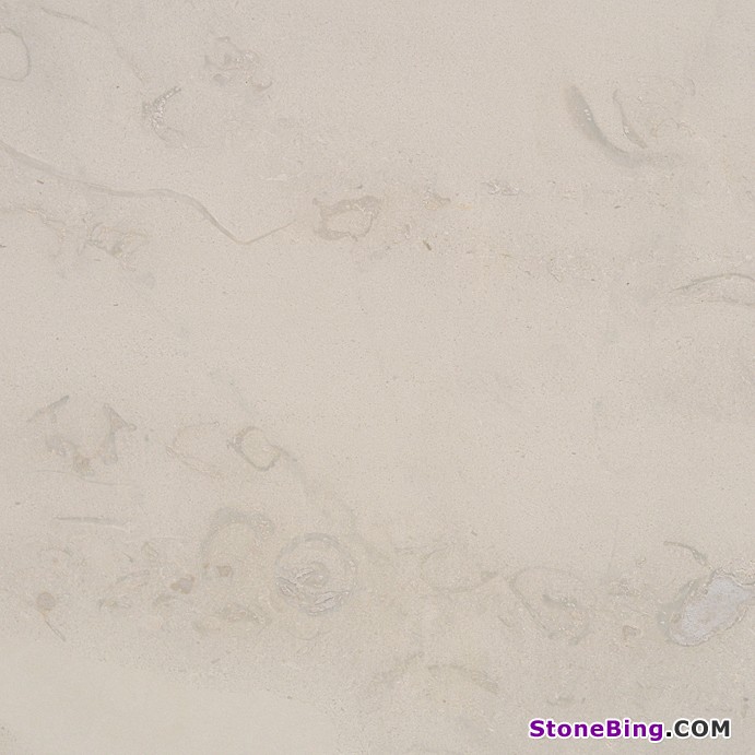 Corinthian White Limestone Tile