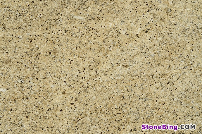 Giallo Ornimental Granite Slab