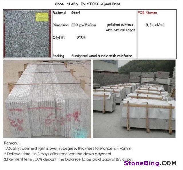 China granite tile G664