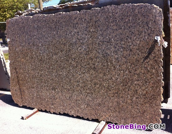 Butterfly Gold Granite Slab