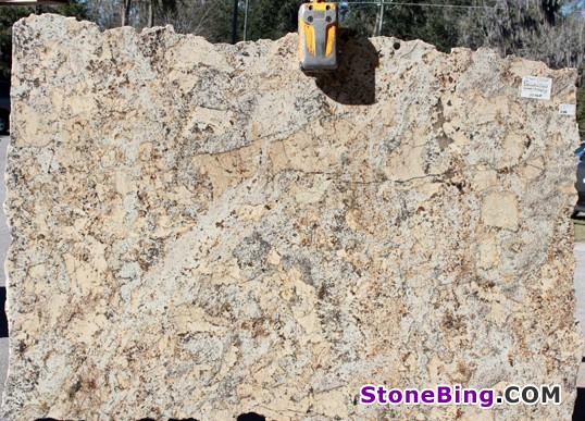 Delicatus Gold Granite Slab