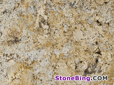 Golden Crema Granite Tile