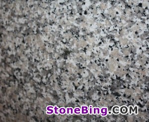 Bianco Sardo Granite Tile