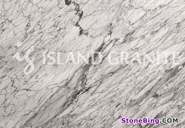 White Carrara Marble Tile
