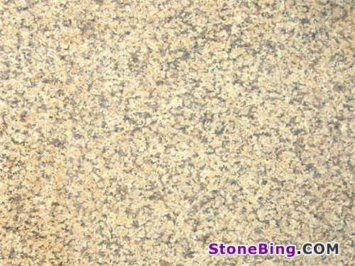 Royal Cream Granite Tile