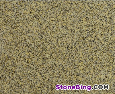Giallo Antico Granite Tile
