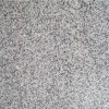 Blanco Taupe Granite Tile