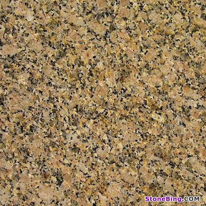 Carioca Gold Granite Tile