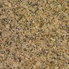 Carioca Gold Granite Tile