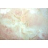 Calacatta Pink Marble Tile