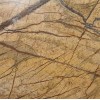Amazon Gold Marble Tile