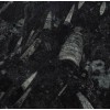 Fossil Black Marble Tile