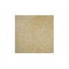 Antique Seashell Limestone Tile