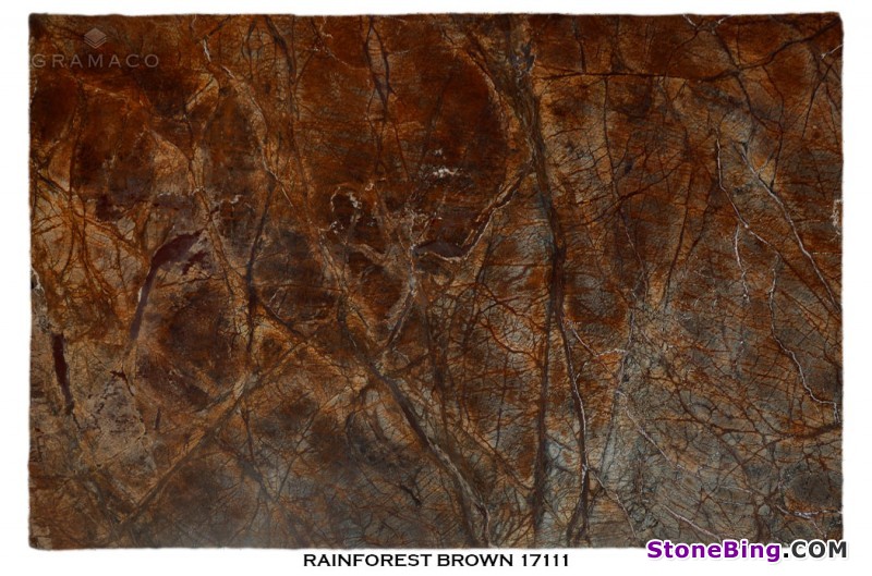 Rainforest Brown Marble Slab