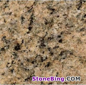 Venetian Gold Granite Tile