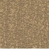 St. Tropez Gold Granite Countertop