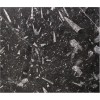 Black Fossil Marble Tile