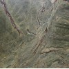 Rainforest Marble Tile