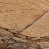 Bidasar Gold Marble Tile