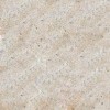 Ivory Chiffon Granite Tile