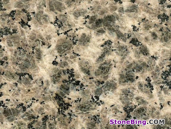 Leopard Skin Granite Tile