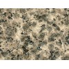 Leopard Skin Granite Tile