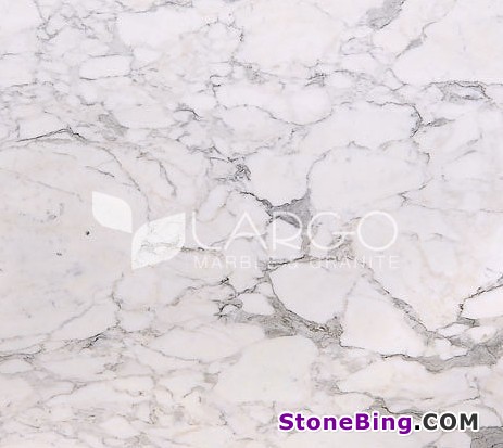 Calacata Gold Marble