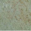 Colonial Gold Granite