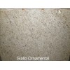Giallo Ornamital Granite Slab