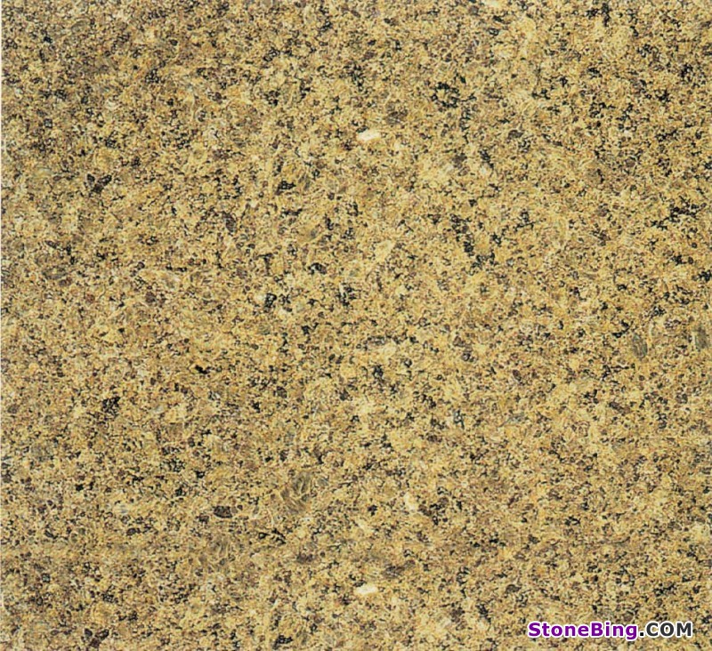 Golden Leaf Granite Tile