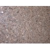 Imperial Coffee Granite Tile