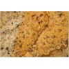 Copper Canyon Granite Slab