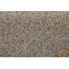 Tropical Brown Granite Slab