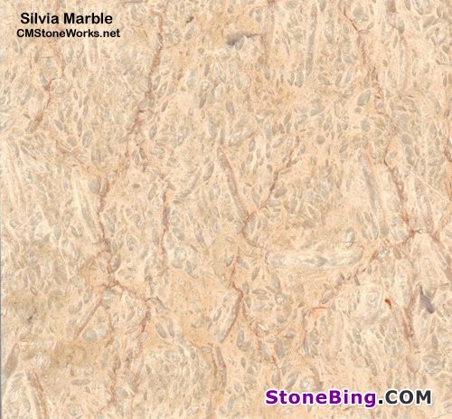 Silvia Marble Tile